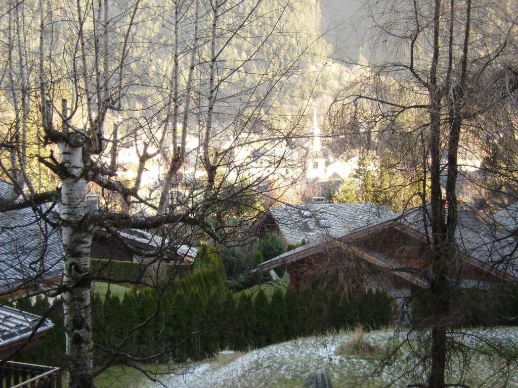 Studio Les Drus / Studio Du Brevent Chamonix Pokój zdjęcie