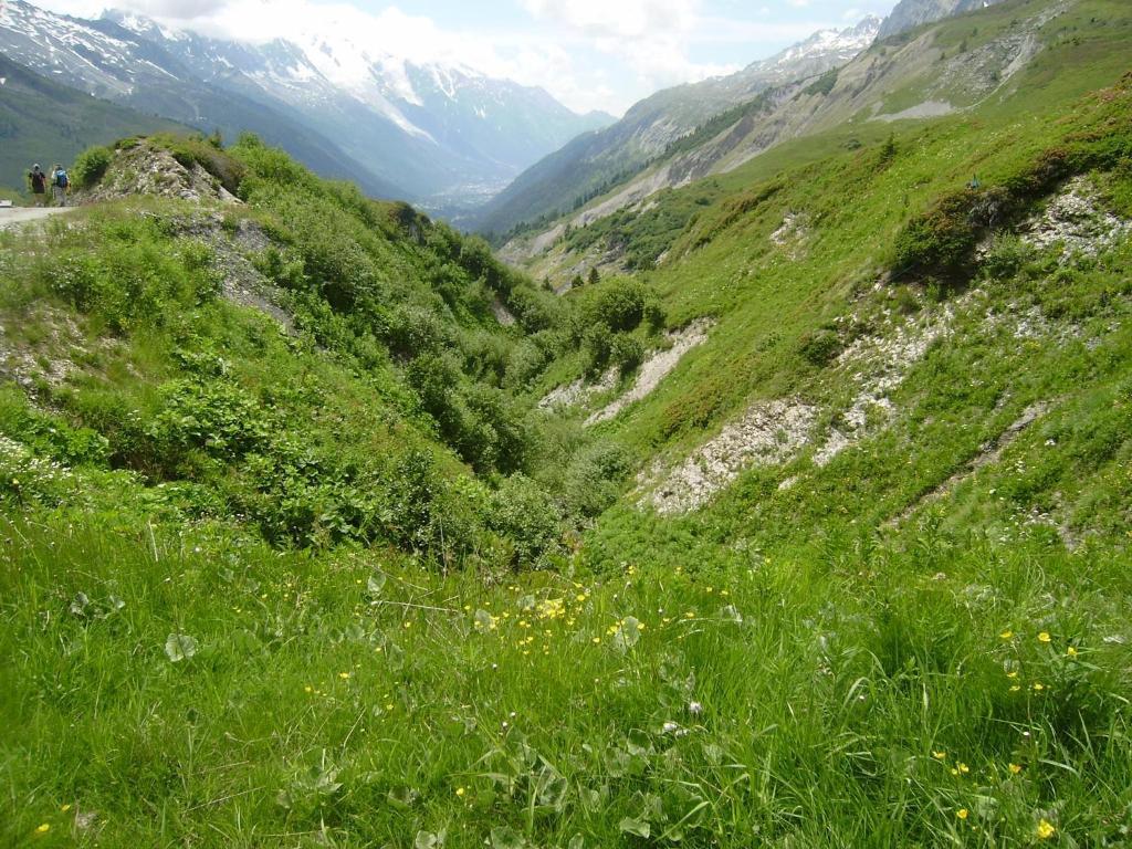 Studio Les Drus / Studio Du Brevent Chamonix Zewnętrze zdjęcie